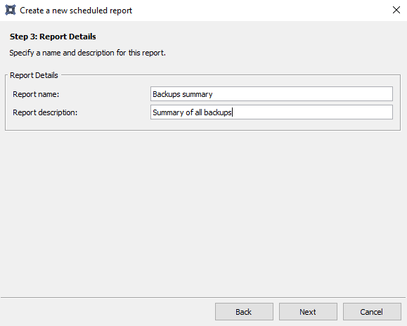 report_details.png